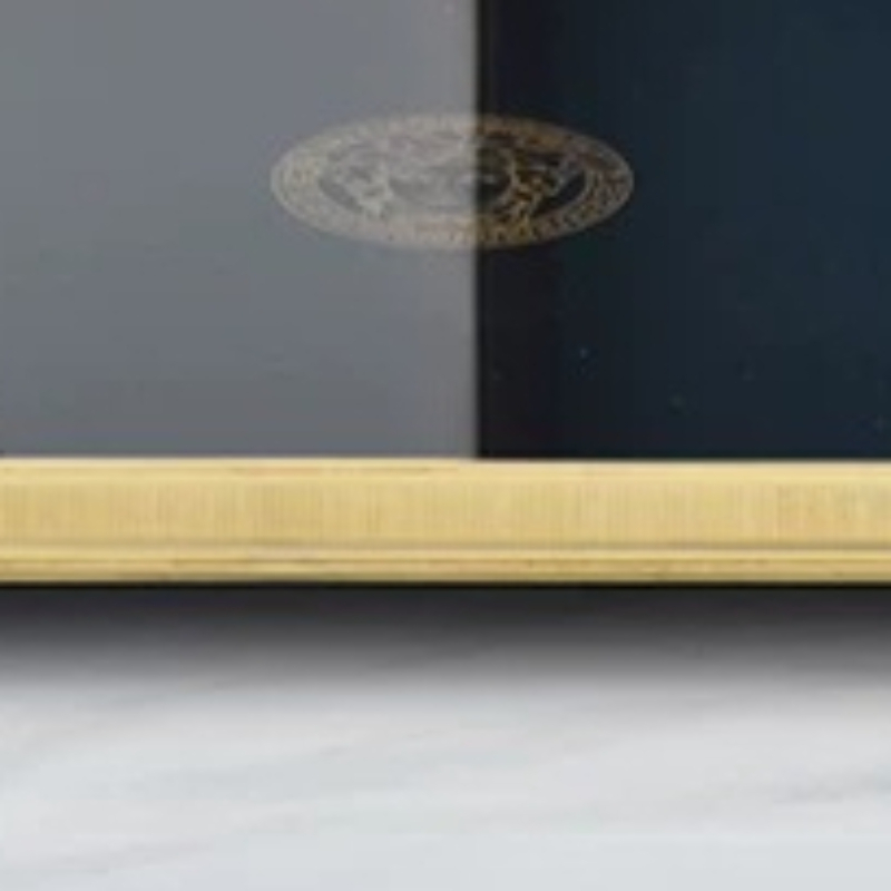 European Modern Sleek Tray Des - Luxury Lifestyle Items recension och pris
